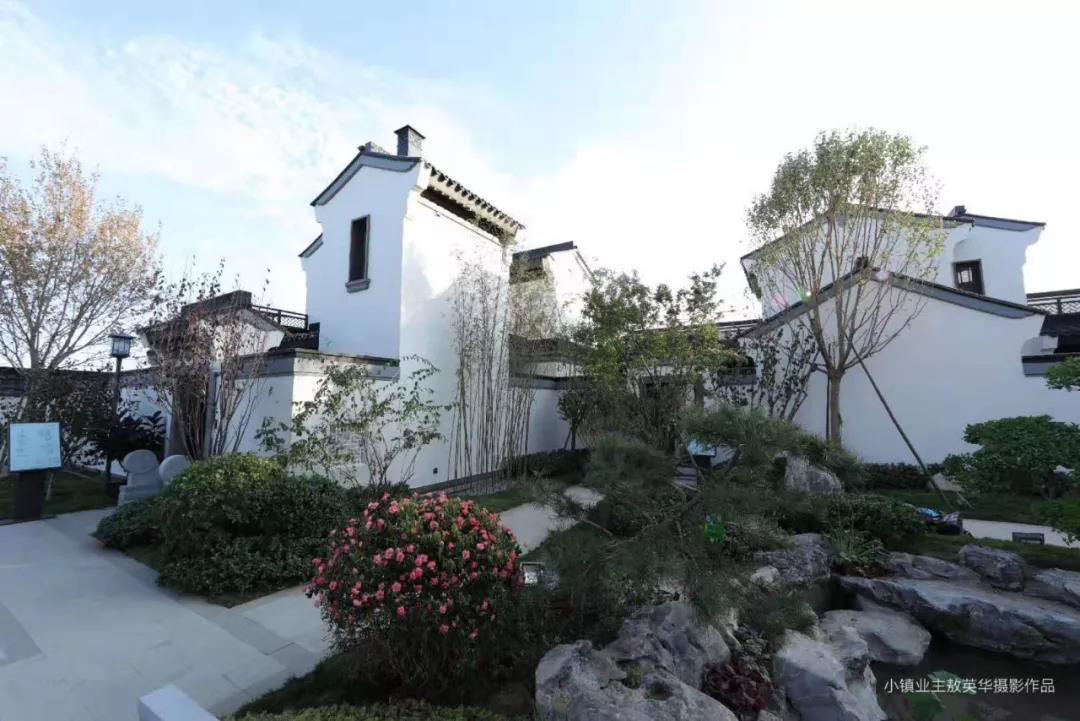 “硬核爆款”实景中式合院惊现东戴河,开启海湾旅居新体验