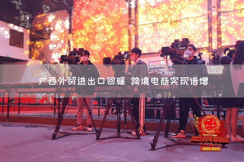 广西外贸进出口回暖 跨境电商实现倍增