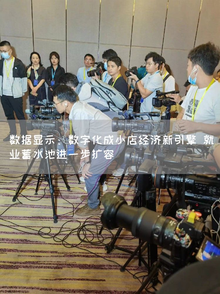 数据显示:数字化成小店经济新引擎 就业蓄水池进一步扩容