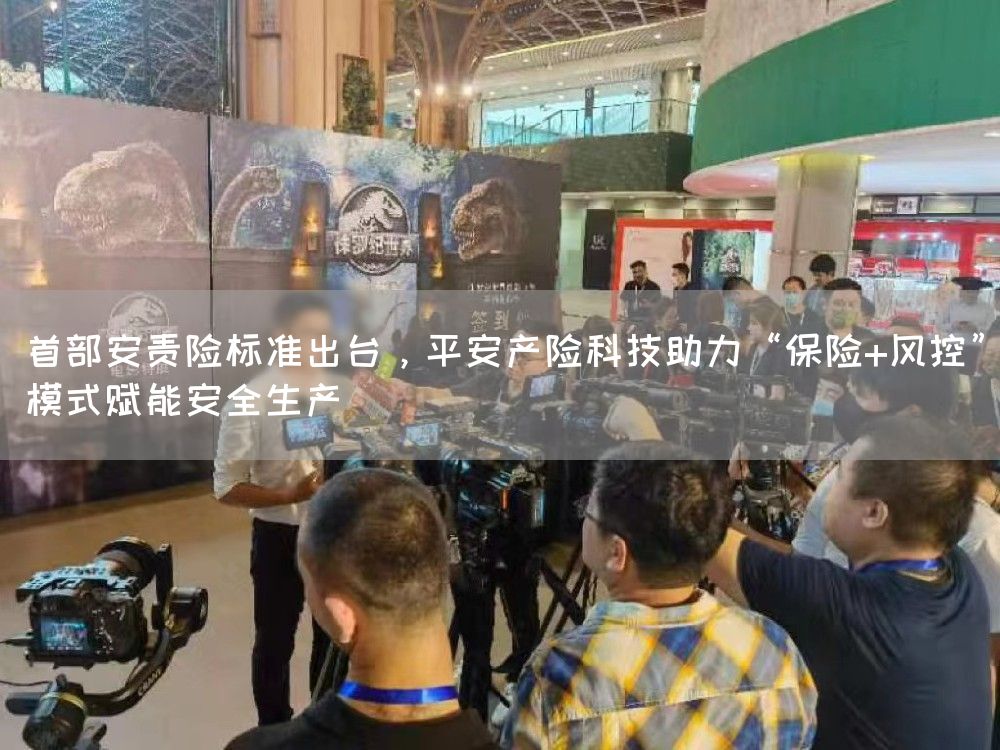 首部安责险标准出台,平安产险科技助力“保险+风控”模式赋能安全生产