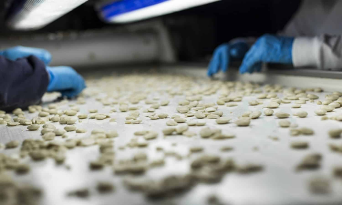 欧洲坚果巨头Itac正式进驻中国市场(图2) 欧洲坚果巨头Itac正式进驻中国市场(图2)