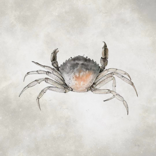 华为视觉设计师Emma:用画笔创作梦想的世界(图2) 华为视觉设计师Emma:用画笔创作梦想的世界(图2)