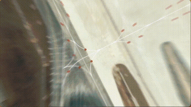 国产全自研!腾讯“飞行模拟”发布:3A级渲染(图3) 国产全自研!腾讯“飞行模拟”发布:3A级渲染(图3)