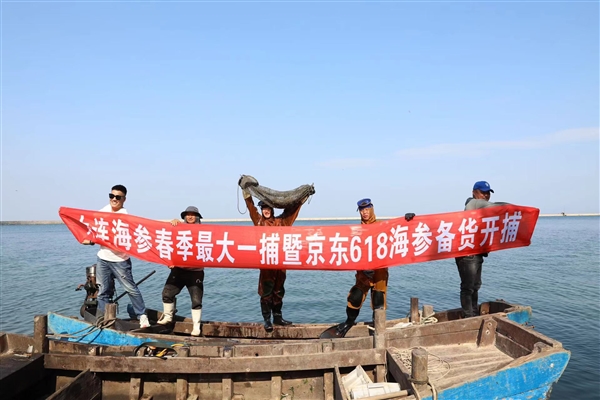 300多位潜水员下海 大连海参春捕季开捕 京东上线全网最低价海参 一根19块9(图1) 300多位潜水员下海 大连海参春捕季开捕 京东上线全网最低价海参 一根19块9(图1)