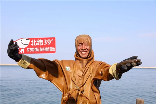 300多位潜水员下海 大连海参春捕季开捕 京东上线全网最低价海参 一根19块9(图6) 300多位潜水员下海 大连海参春捕季开捕 京东上线全网最低价海参 一根19块9(图6)