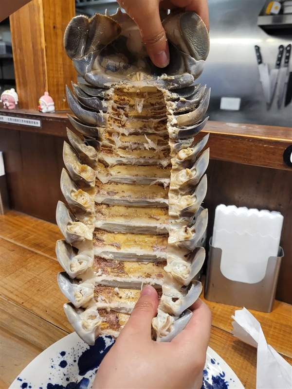 台湾大王具足虫拉面341元一碗 学者:海蟑螂远亲 可能会中毒(图3) 台湾大王具足虫拉面341元一碗 学者:海蟑螂远亲 可能会中毒(图3)