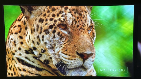 家用4k投影仪选哪个品牌好 当贝F6带来的超越期待的观影体验(图3) 家用4k投影仪选哪个品牌好 当贝F6带来的超越期待的观影体验(图3)