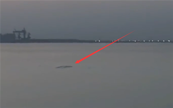 现场视频曝光 男子称拍到5米长不明生物:快到岸边时直接消失(图1) 现场视频曝光 男子称拍到5米长不明生物:快到岸边时直接消失(图1)